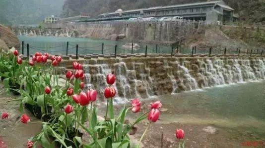 方媛综艺首秀气场强，谈郭富城满脸幸福，自曝靠颜值吃饭
