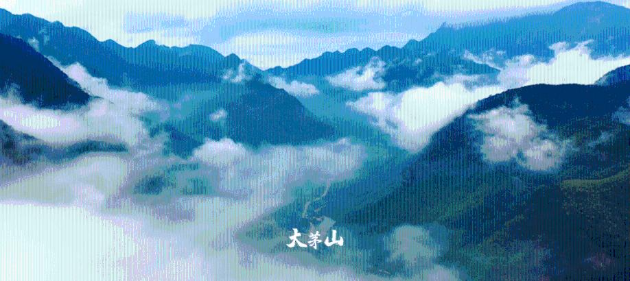 绝地求生坦克版