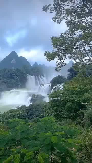 沪江开心词场