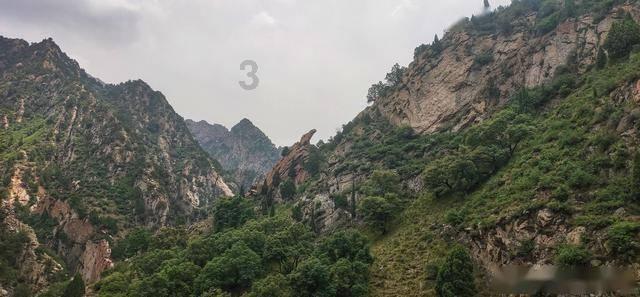 老易、“田鼠大婶”纷纷圆梦,“春晚等着你”后续来了